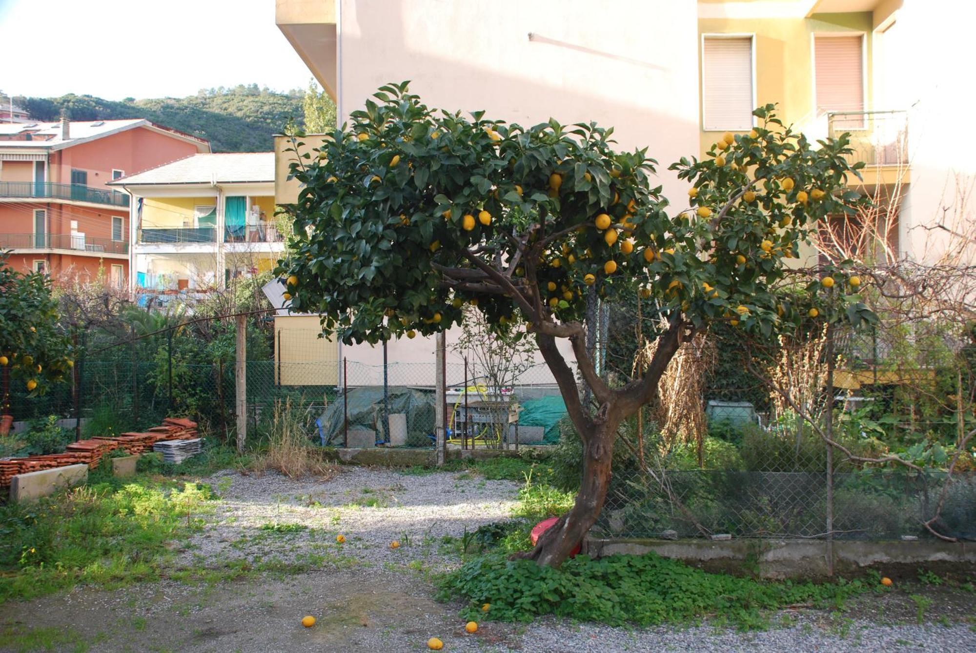 Tinetto Brezza Di Mare Deiva Marina Exterior foto